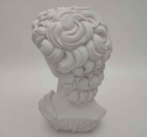 David- Rockstar-Simmons